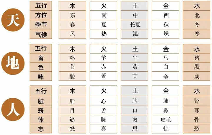 阴阳五行2